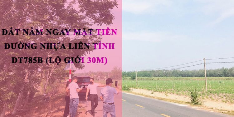 Bán đất nền có sổ hồng ở Tân Châu Tây Ninh giá chỉ từ 4xx triệu -600 triệu / nền 1000m2