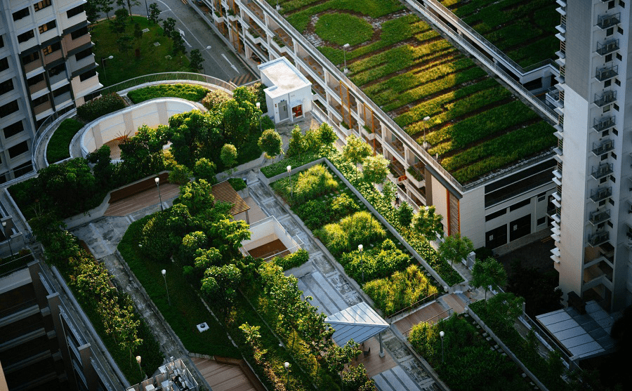 Thành phố ở Thụy Sĩ là nơi đầu tiên trên thế giới bắt buộc phải trồng cây trên toà nhà